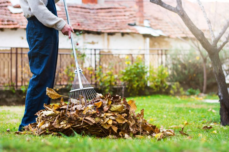 Fall Lawn Preparation