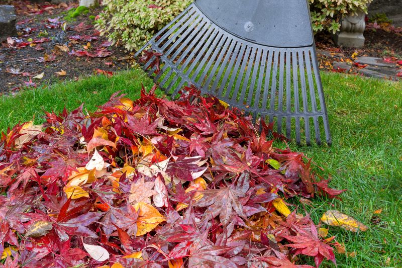 Fall Cleanup Equipment