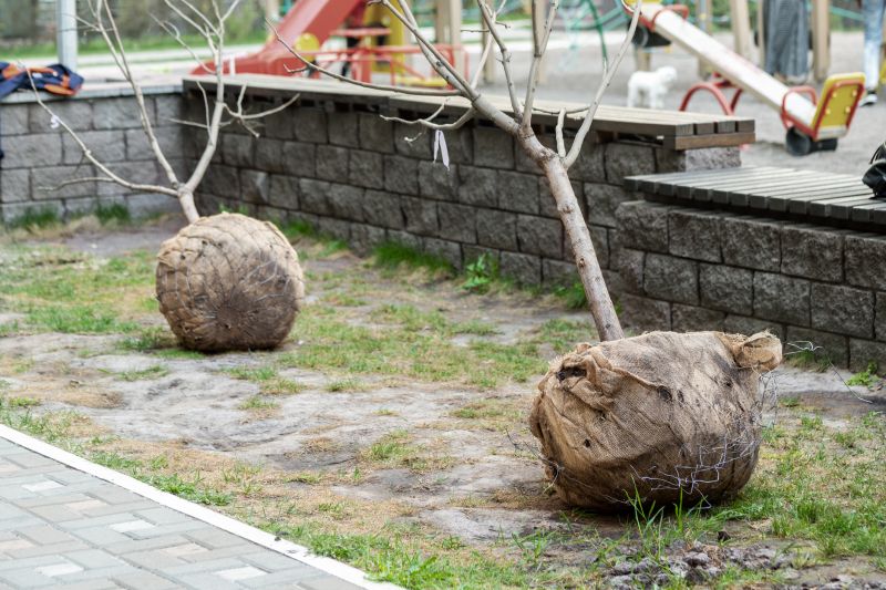Children Playing on Mulched Surface